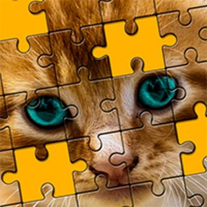 Feline Puzzle Assembly