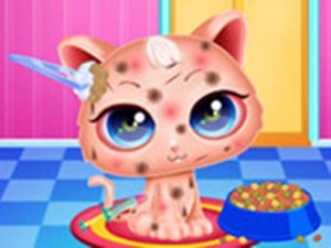 Cute Kitty Care - Pet Makeover Online Game - Pet Care Game