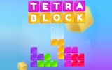 Tetra Blocks Puzzle Game