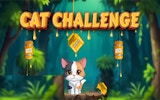 Cat Challenge: Honey Drop Puzzle