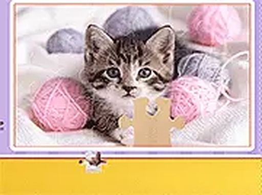Playful Feline Puzzle Challenge