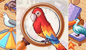 Tropical Search Quest